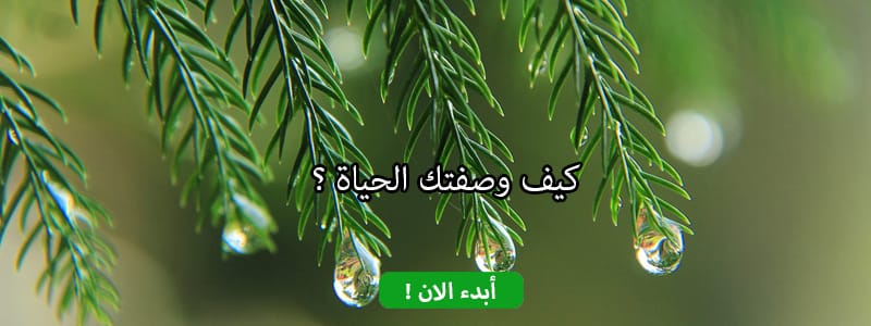 كيف وصفتك الحياة ؟